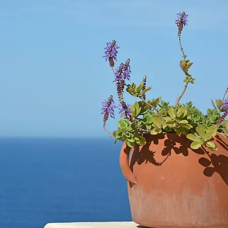 Mariangelica Guest house